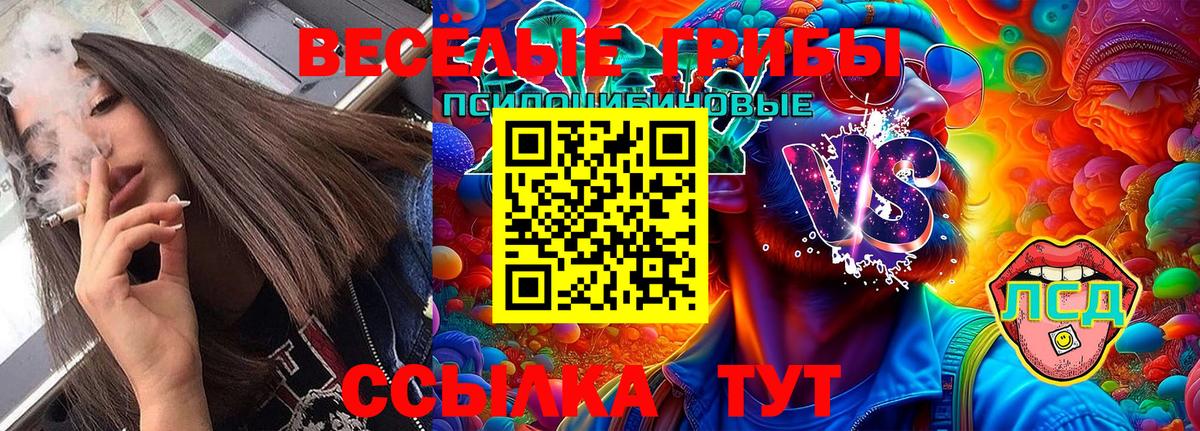 Псилоцибиновые грибы Psilocybe  Вход с VPN  где продают наркотики  Тольятти 